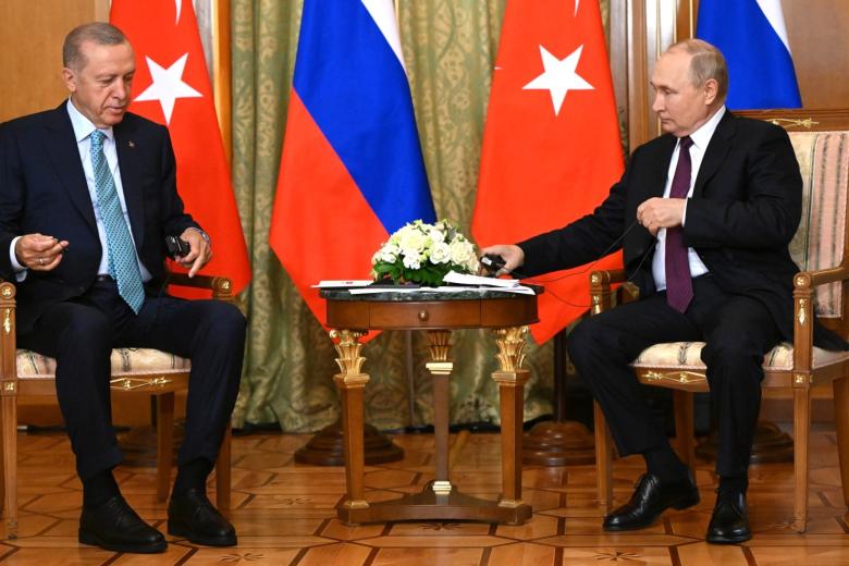 Реджеп Тайип Эрдоган, Владимир Путин