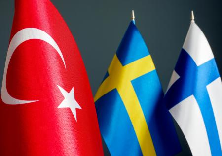 Турция назвала условие по вступлению Финляндии и Швеции в НАТО