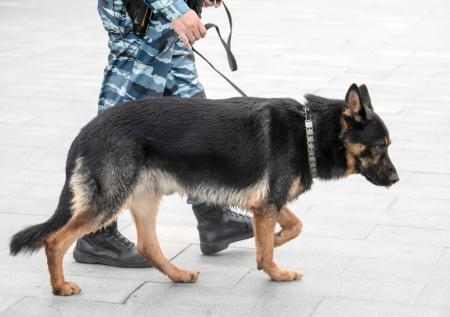 Около школы в Липецке обнаружили подозрительное устройство