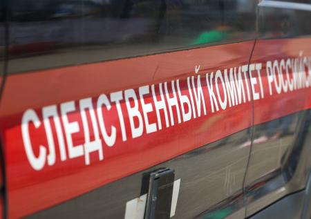 Стало известно, где находилась обвиняемая по «Новгородскому делу» Мартынова