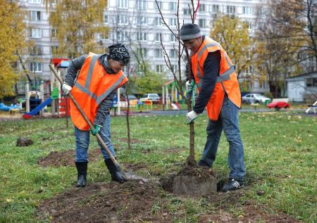Жители Уфы пожаловались на снос аллеи в честь бойцов СВО