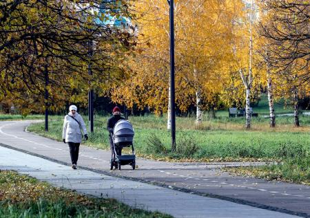 Погода в Москве и Подмосковье 7 и 8 ноября: будет ли тепло, что со снегом
