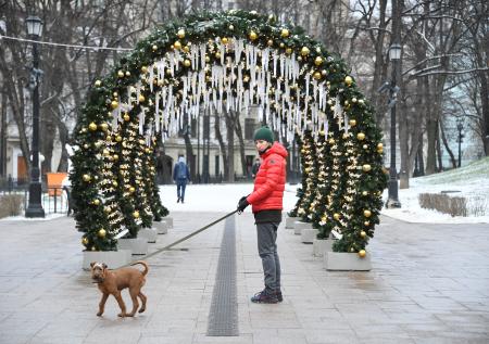 Зоозащитники предложили ограничить разведение собак и кошек в РФ