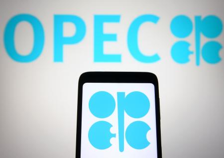 Раскрыто решение мониторинга ОПЕК+ о плане по добыче нефти