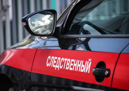 Мать зарубила троих детей в Канске