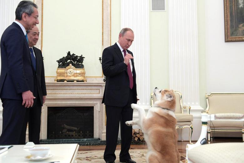 Владимир Путин
