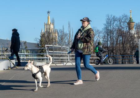 Не убирающих за собаками владельцев предложили штрафовать