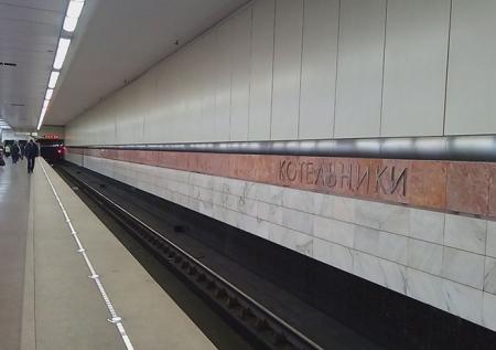 Мужчина попал под поезд в московском метро и выжил