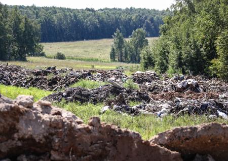 В Минприроды оценили стоимость «генеральной уборки» в России