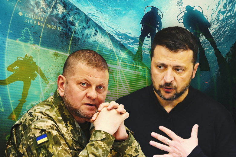 Владимир Зеленский, Валерий Залужный
