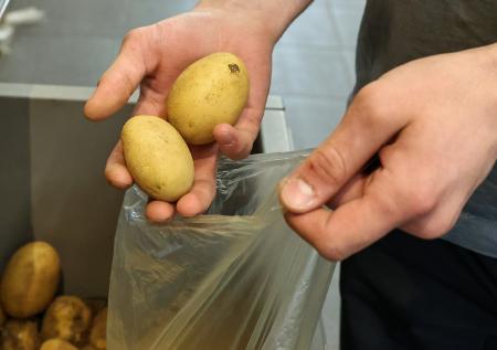 В Белоруссии на деньги от космической программы построят картофелехранилище