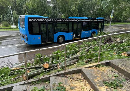 Городские службы Москвы перешли на усиленный режим из-за урагана «Эдгар»