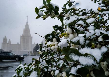 В Гидрометцентре пообещали возвращение суровых зим в Россию