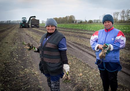 Рекорд по сбору свёклы поставили в России