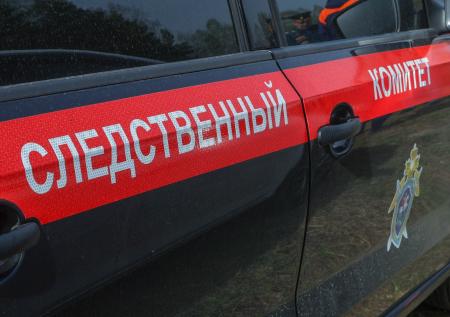 Следователи заинтересовались россиянкой, избивающей мужа и детей