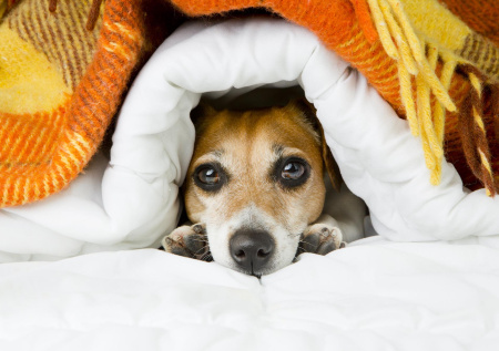 Какой сегодня день? Праздники и памятные даты 7 марта 2026 года