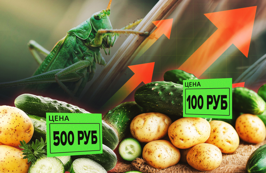 Картошка по 100, огурцы по 500: на Россию идет саранча, что будет с ценами