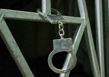 Адвокат раскрыл, какое наказание может грозить похитителю кенгурят
