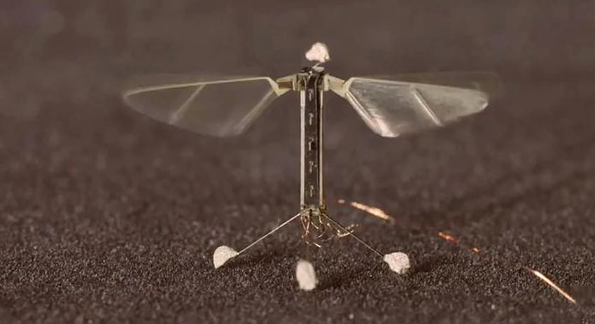 Прототип бионического микродрона RoboBee