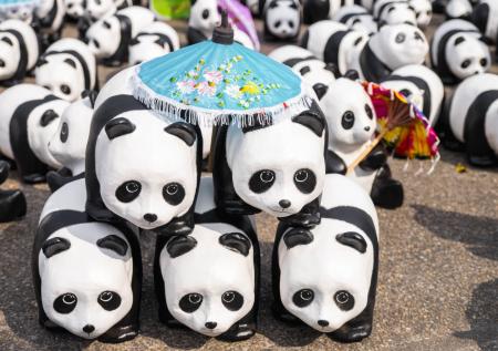 «Было ожидаемо»: в ГД оценили признание WWF нежелательным в России