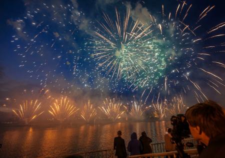 В Госдуме предложили запретить салюты рядом с приютами для животных
