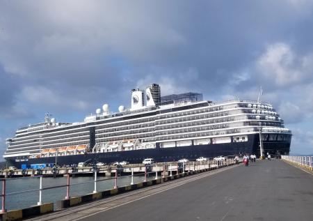 Первые россияне с круизного лайнера Westerdam вылетят домой 15 февраля