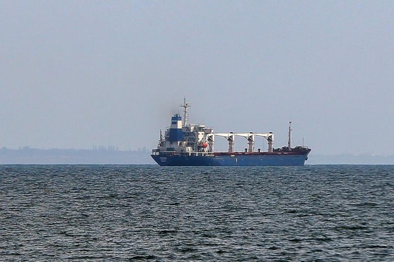 Gервый сухогруз с украинским зерном прибудет в Стамбул 2 августа