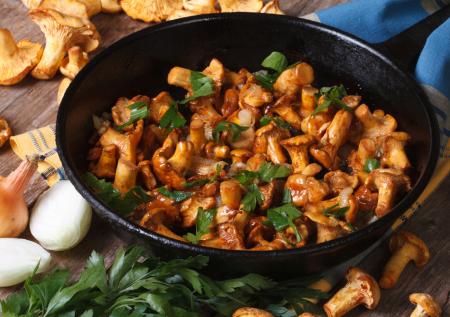 Готовим самые вкусные лисички: простые рецепты аппетитных блюд