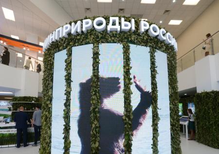 Замминистра природных ресурсов и экологии РФ назначен Константин Румянцев