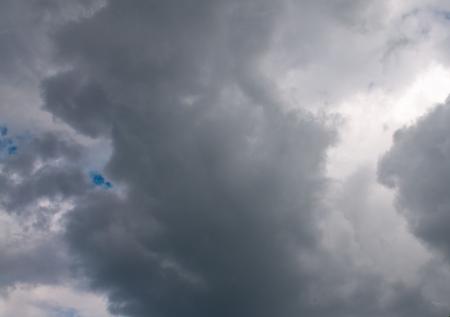 Москвичам рассказали о погоде 20 апреля