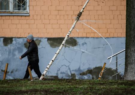 Синоптики предупредили о сильном ветре в Москве и области
