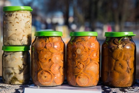 Готовим грузди к засолке: многие хозяйки допускают эти ошибки