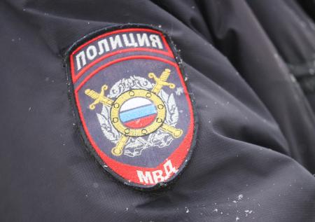 Охотник расчленил и освежевал кота в Петербурге