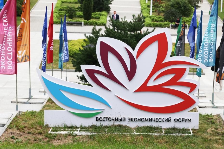 Гости VIII Восточного экономического форума (ВЭФ)