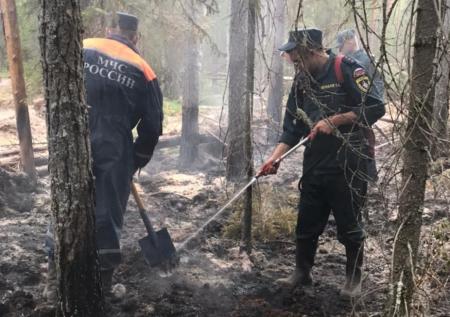 В Рослесхозе надеются потушить основные якутские пожары за две недели