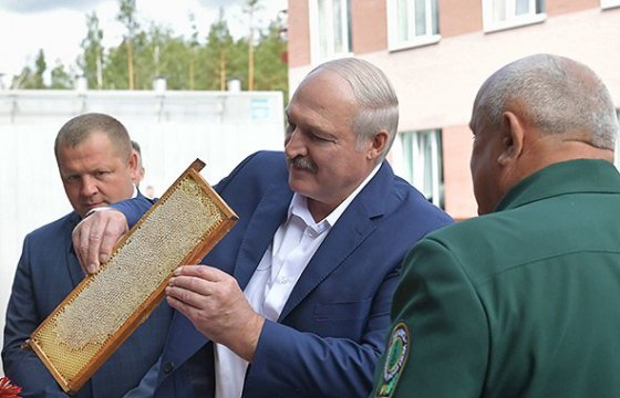 Александр Лукашенко