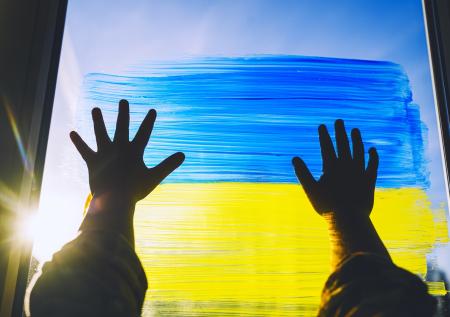 Семью петербуржцев заставили смыть нарисованный на окне флаг Украины