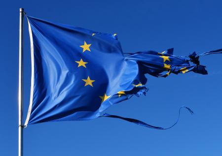 В Париже протестующие порвали флаг Евросоюза из-за Украины