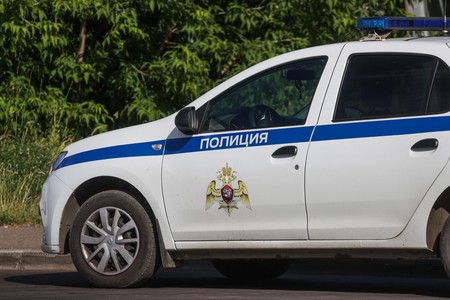 Две девушки распяли щенка и вырезали у него сердце