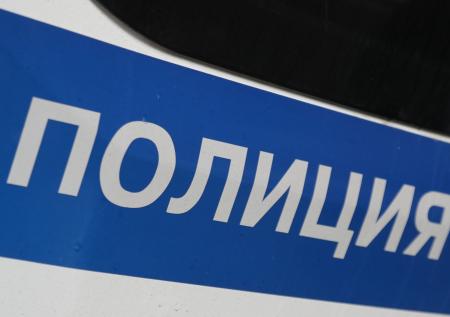 Полицейские успокаивают подмосковного стрелка транквилизатором