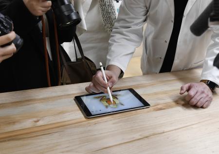 Новый iPhone может получить поддержку Apple Pencil