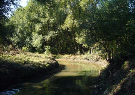 В Москве температура воды в реке поднялась до 50 градусов