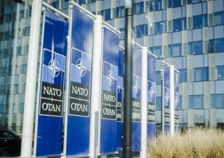 Политолог оценил вероятность вступления Австрии в НАТО