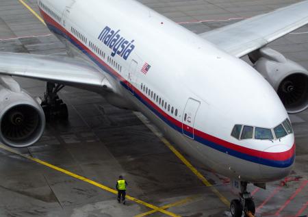 Нидерланды хотят допросить ценного свидетеля по делу сбитого MH17