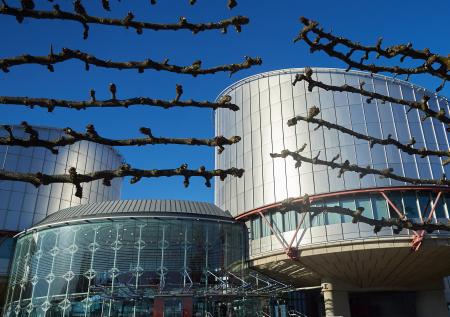 В Кремле прокомментировали решение ЕСПЧ по Литвиненко