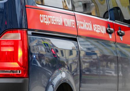 В Магадане проверяют обстоятельства гибели депутата, расстрелявшего гусей