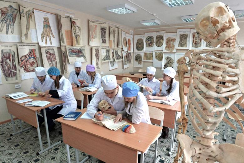 Студенты на занятии кафедры анатомии в медицинском университете