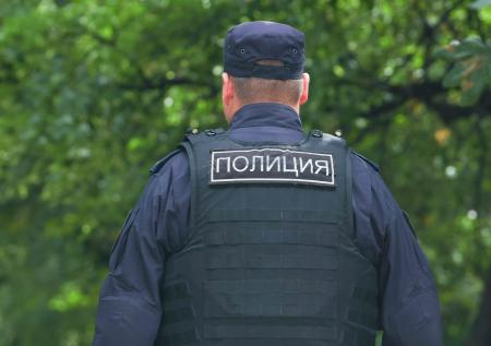 В Ленобласти завершились поиски пропавшего в лесу мальчика