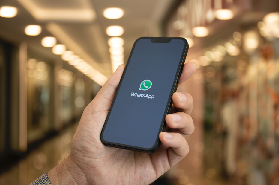 WhatsApp скоро заблокируют в России? Что известно, мнение депутатов, РКН