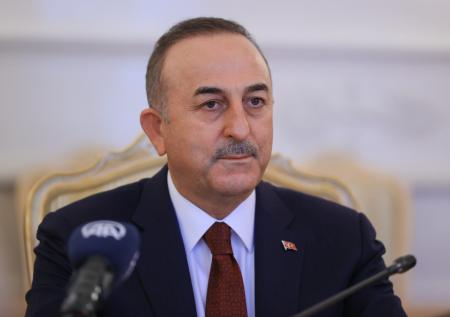 МИД Турции: Анкара готова провести встречу Зеленского и Путина